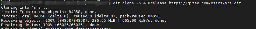 image-20240822181417344